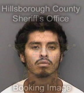 Rodriquez Raymond - Hillsborough County, Florida 