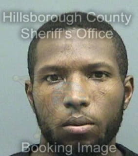 Lewis Christopher - Hillsborough County, Florida 