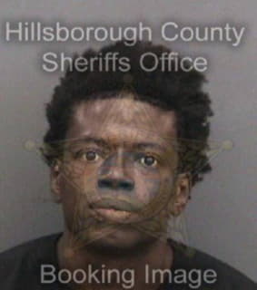 Mccoy Javarvious - Hillsborough County, Florida 