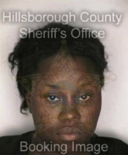 Wilson Shavonda - Hillsborough County, Florida 