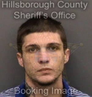 Mcgee William - Hillsborough County, Florida 