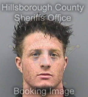 Noll Andrew - Hillsborough County, Florida 