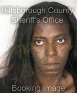 Floyd Doris - Hillsborough County, Florida 