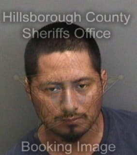 Lopezcruz Yoni - Hillsborough County, Florida 