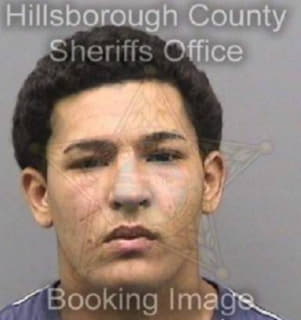 Colinaenriquez Jeance - Hillsborough County, Florida 