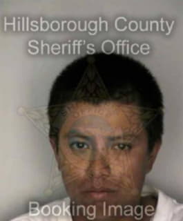 Dominguez Rafael - Hillsborough County, Florida 