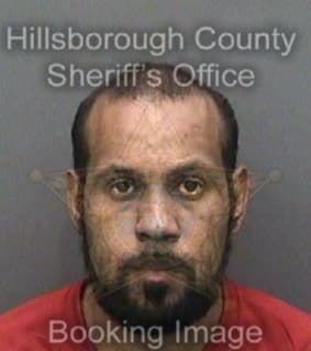 Rivera Efrain - Hillsborough County, Florida 