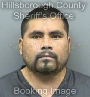 Perez Justino - Hillsborough County, Florida 