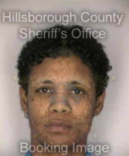 Scott Carol - Hillsborough County, Florida 
