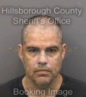 Martinez David - Hillsborough County, Florida 