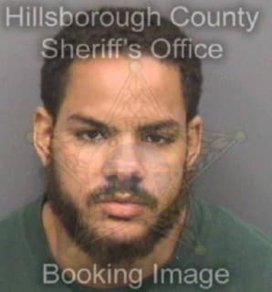 Rivera Jorrel - Hillsborough County, Florida 