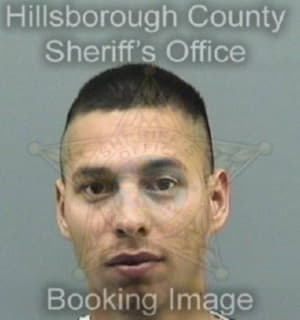 Mendez Jose - Hillsborough County, Florida 