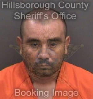 Romo Miguel - Hillsborough County, Florida 