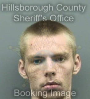 Desautels Bryan - Hillsborough County, Florida 