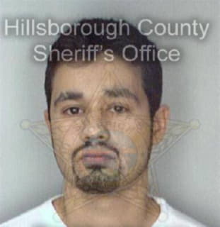 Barragan David - Hillsborough County, Florida 