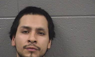 Batrez Ulisses - Cook County, Illinois 