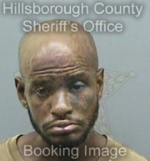 Williams Darrell - Hillsborough County, Florida 