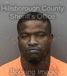 Johnson Fredrick - Hillsborough County, Florida 