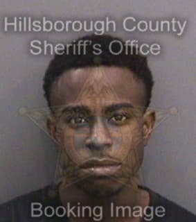 Maynard Malik - Hillsborough County, Florida 