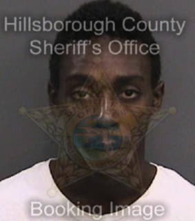 Bethel Michael - Hillsborough County, Florida 