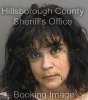 Connor Alejandra - Hillsborough County, Florida 