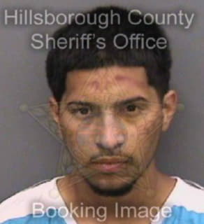 Medina Juan - Hillsborough County, Florida 