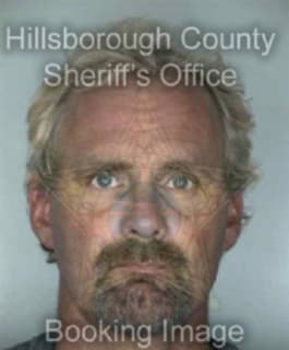 Culbertson Michael - Hillsborough County, Florida 