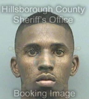 Robinson Vincent - Hillsborough County, Florida 