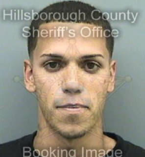 Rivera Carlos - Hillsborough County, Florida 