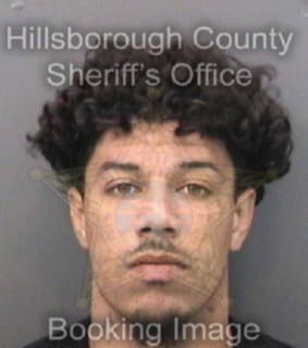 Austin Clarence - Hillsborough County, Florida 