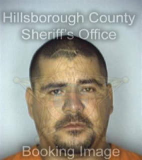 Bravo Miguel - Hillsborough County, Florida 