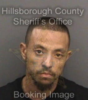 Cohen Ricky - Hillsborough County, Florida 