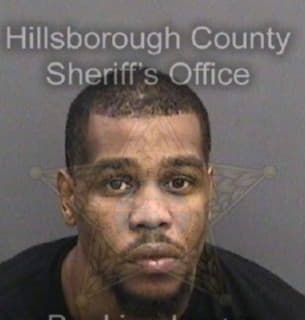 Wilson Jeremy - Hillsborough County, Florida 