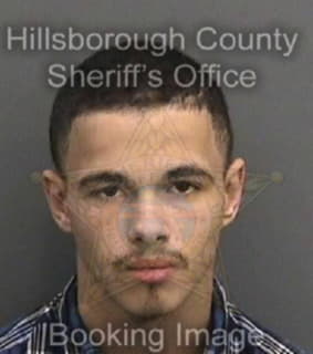 Diazgarcia Jesus - Hillsborough County, Florida 