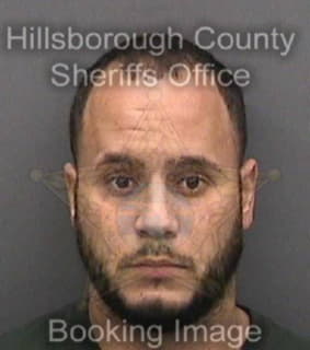 Martinezreyes Luis - Hillsborough County, Florida 