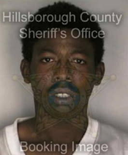 Dixon Shawn - Hillsborough County, Florida 