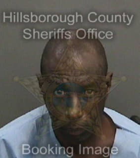 Williams Anthony - Hillsborough County, Florida 