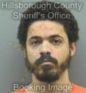 Ortiz David - Hillsborough County, Florida 