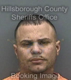 Perez Jesus - Hillsborough County, Florida 