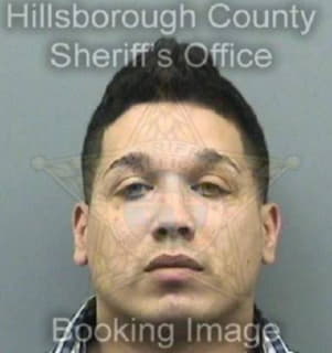 Rodriguez Michael - Hillsborough County, Florida 