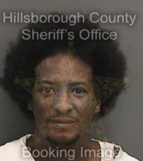 Mccallum Anthony - Hillsborough County, Florida 