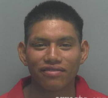 Domingo Lucas - Lee County, Florida 