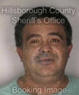 Rivera Luis - Hillsborough County, Florida 