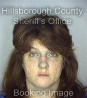 Dehghani Tammi - Hillsborough County, Florida 