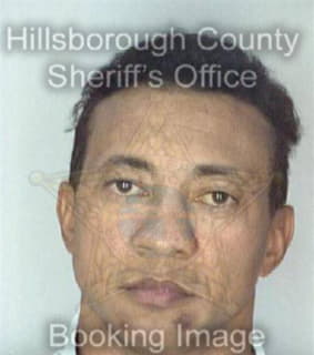 Ozuna Valentin - Hillsborough County, Florida 