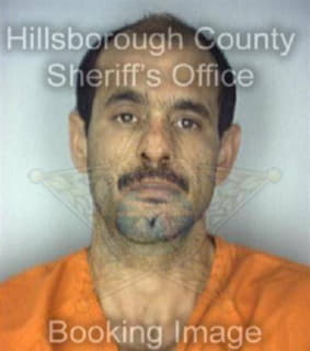 Martinez Enrique - Hillsborough County, Florida 