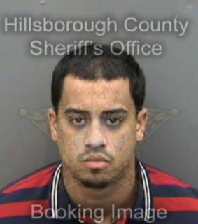 Ortiz Frank - Hillsborough County, Florida 