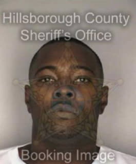 Newton Gregory - Hillsborough County, Florida 