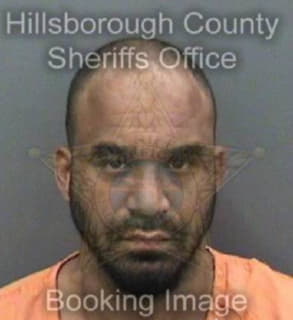 Miller Jamare - Hillsborough County, Florida 