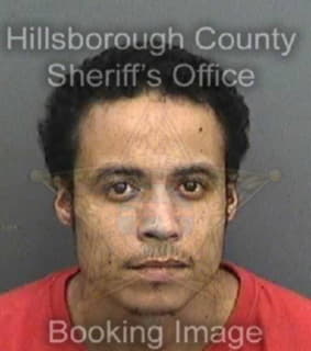 Borges Joshua - Hillsborough County, Florida 